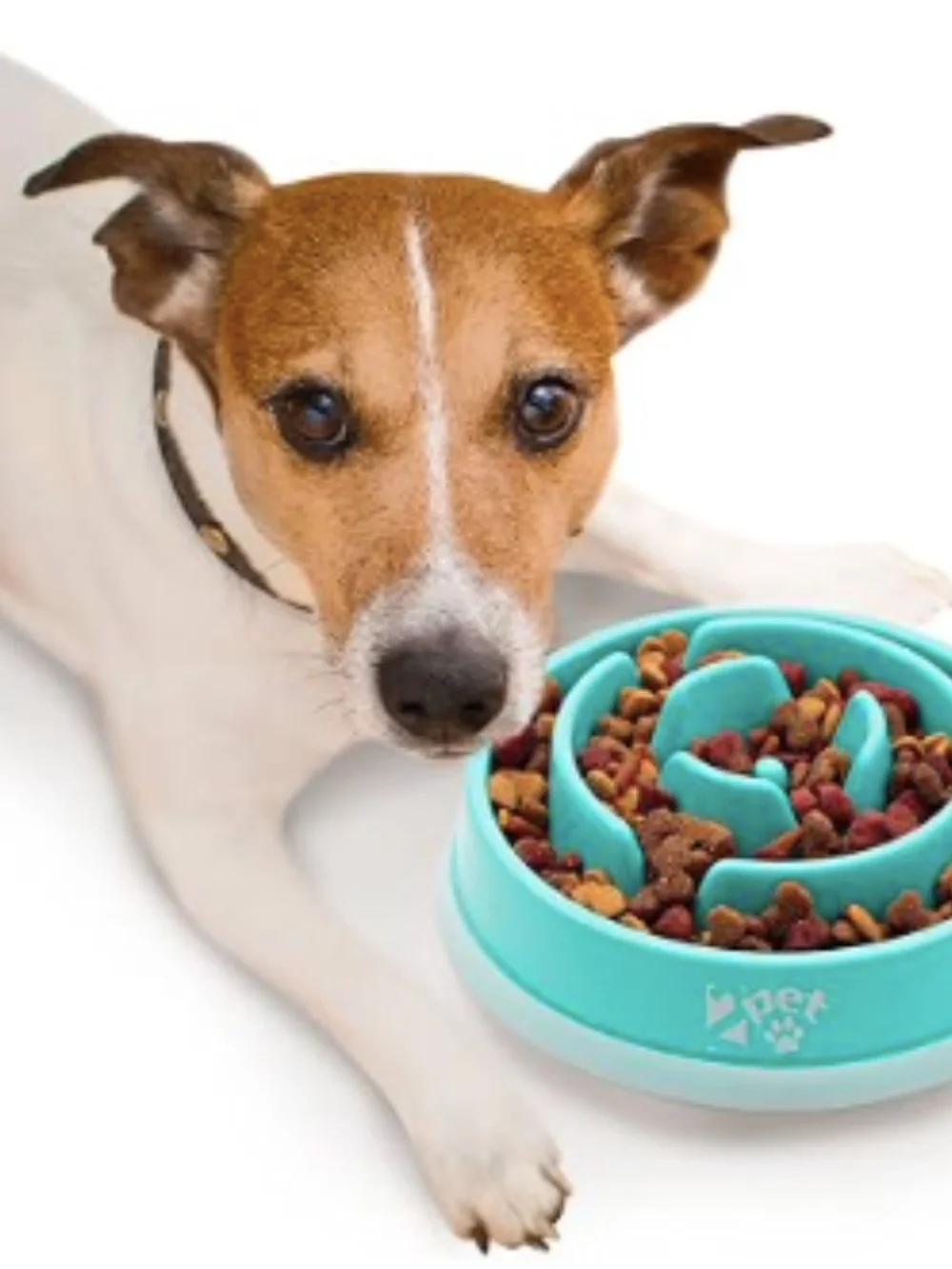 Slowly Bowly - Fun Interactive Dog Dish for Fast Eaters, Stops Choking and Bloat